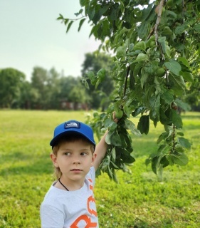 Малахов Платон в яблочном саду парка Коломенское (преданный поклонник удивительного семейства - семейства deti.fm)))