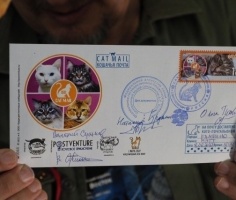 В Санкт-Петербурге открылась первая в мире кошачья почта