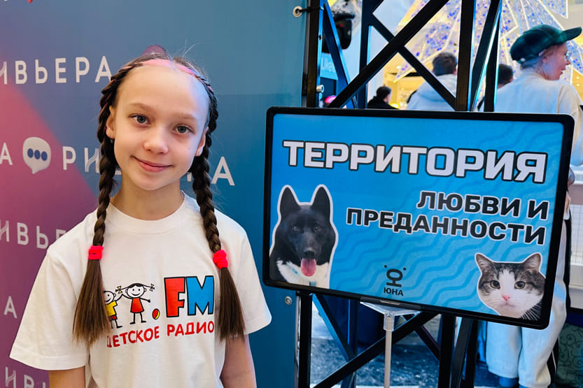 Животные из приюта в поисках дома