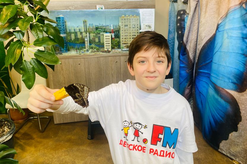 14 марта &ndash; День изучения бабочек