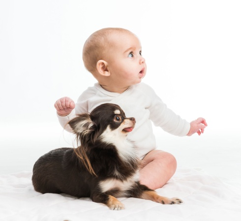 Кто лучше понимает собак – взрослые или дети?