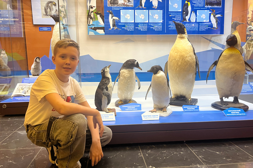 &laquo;Пингвины&raquo; в Дарвиновском музее