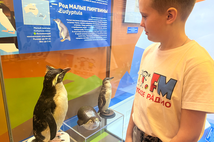 3. Без подписи