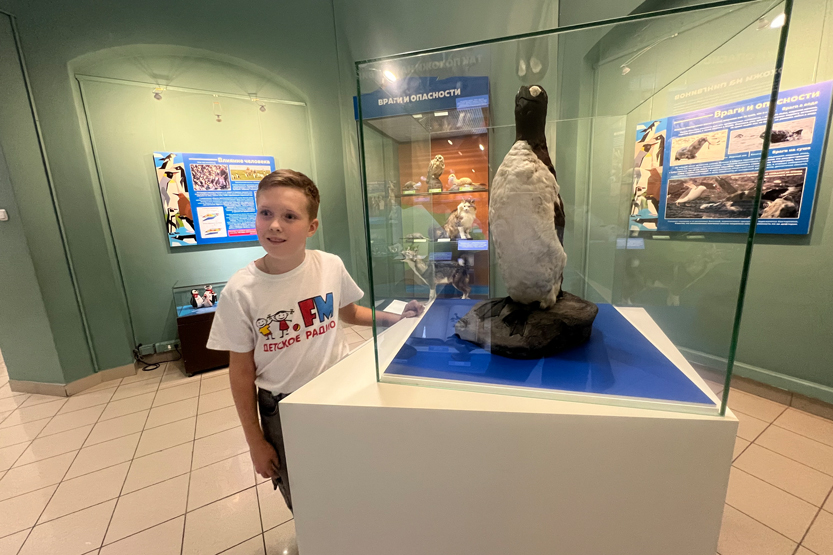 4. Без подписи