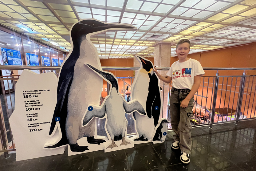 5. Без подписи